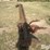 international-100-image-3