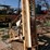 bel-tech-ph-digger-image-1