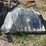 pallet-of-jd-shank-shovel-off-960-image-1
