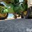2016-john-deere-5090gn-image-20