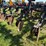case-ih-730b-ecolo-tiger-disk-ripper,-rear-leveler,-30”-spacing,-2-bearings-are-out-but-2-good-used-image-39