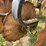 krause-dominator-7-shank-image-22