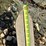 48”-skid-steer-pallet-forks-image-15