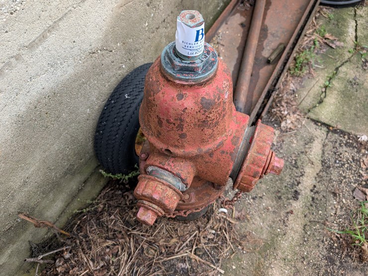 #2993-•-fire-hydrant-image-4
