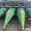 2008-drago-n12-image-10