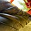 new-holland-499-image-17