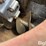 peck-804-image-12