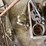 ridgid-400a-electric-pipe-threader,-with-tools-image-4