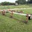 harriston-5200-image-3