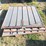 3-case-ih-chaffers-image-1