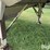 1985-timpte-hopper-bottom-image-14