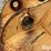john-deere-270-image-10