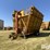 kbh-mule-boy-image-1