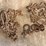 misc-chains-image-2