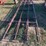 4-cattle-panels-image-2