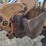 2012-case-580sn-wt-image-31