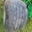john-deere-569-image-13