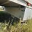 2003-barrett-52’-pig-semi-trailer,-102”-wide-ground-loader,-tandem-axle,-255/70r22.5-on-steel-hub-pi-image-14