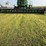 2013-john-deere-635f-image-8