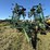 john-deere-980-image-3