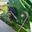 2018-john-deere-1765-image-20
