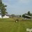 kewanee-500-image-4