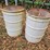 (2)-55-gallon-steel-drums-image-2