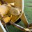 deere-544e-image-17