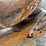 gleaner-20’-flex-head,-sn:-2044446f-image-12