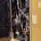 2002-caterpillar-938g-image-31