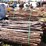 cedar-stays-image-1