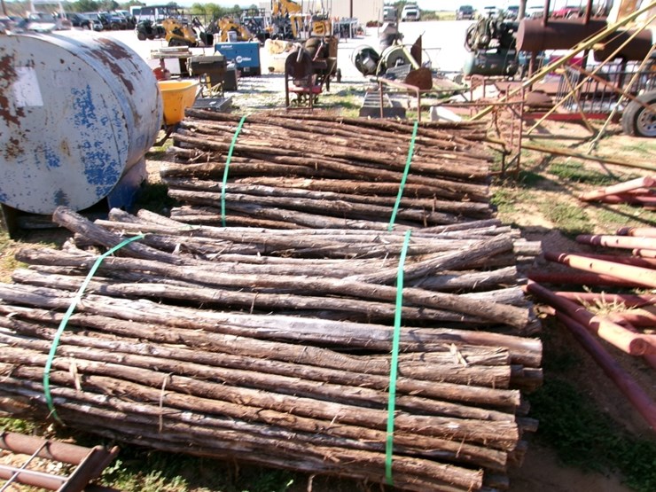 cedar-stays-image-1
