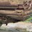 calmer-1615-image-20