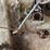 ridgid-400a-electric-pipe-threader,-with-tools-image-5