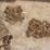 misc-chains-image-3