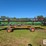 1995-john-deere-930-image-2