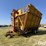 kbh-mule-boy-image-1