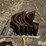 case-ih-2588-image-4