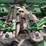 john-deere-1293-image-19