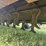 loftness-stalk-chopper,-pull-type,-20’,-1-3/8”-1000-pto,-(4)-rear-wheels,-(2)-hyd-cyls,-*-drums-were-image-18