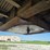 1999-talbert-t-image-9