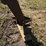 new-holland-55-image-4