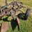 john-deere-3-bottom-plow-image-10