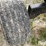 horst-welding-chc-image-13