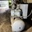 #143-•-air-compressor-image-2