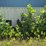 #102-•-storage-container-image-2