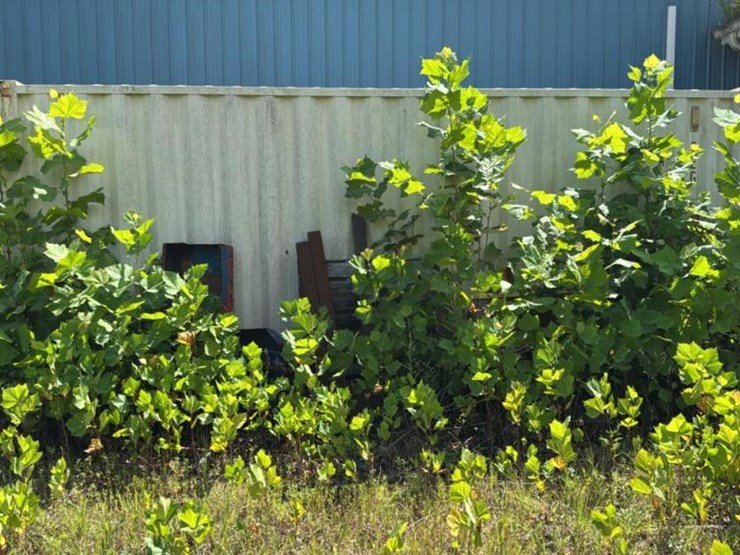 #102-•-storage-container-image-2