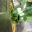2016-john-deere-5090gn-image-15