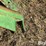 john-deere-115-image-10