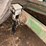 john-deere-700-image-7